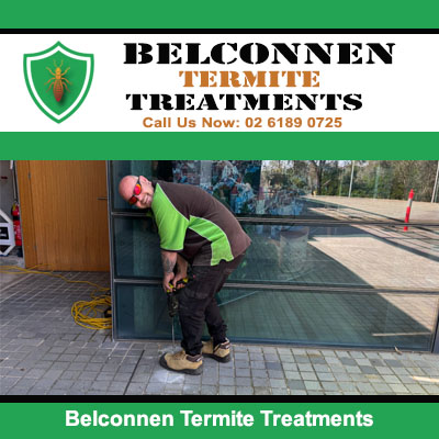 Technician installing termite protection system in Belconnen