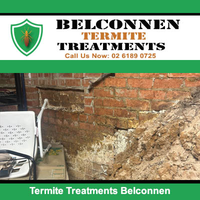 Termite damage requiring treatment in Belconnen