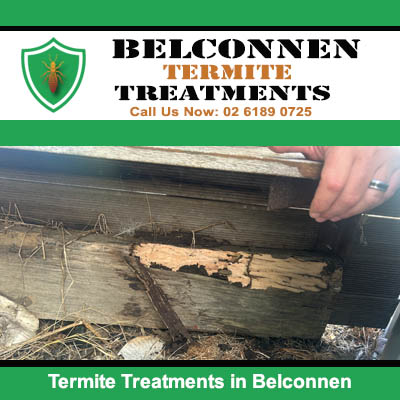 Termite treatment to wooden window frame in Belconnen